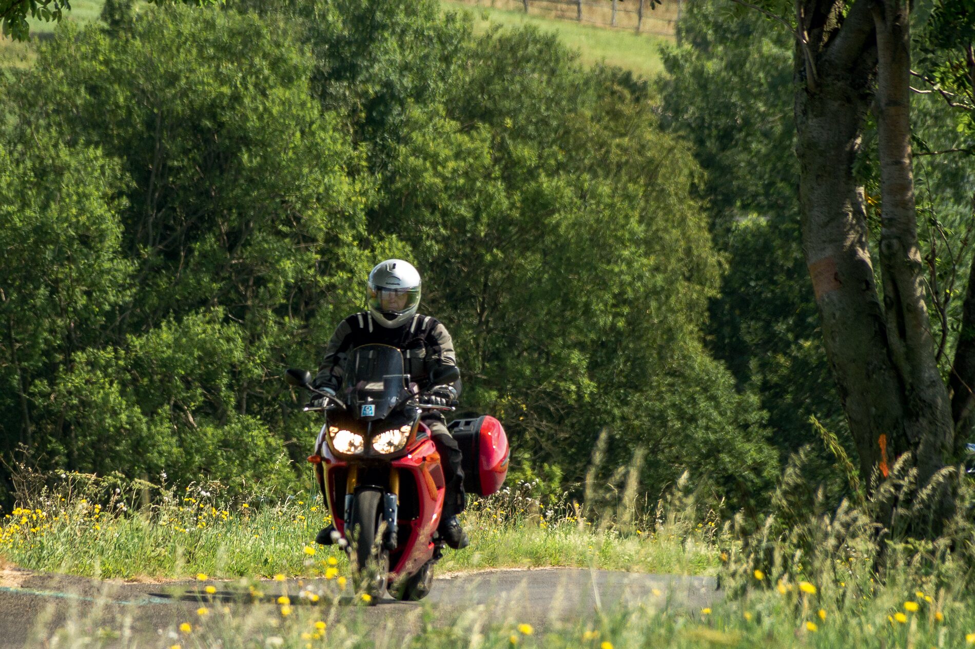 Motorrad mit rotem Tank und Koffern kommt zwischen blühenden Wiesen und Bäumen auf den Betrachter zu Motorrad mit rotem Tank und Koffern kommt zwischen blühenden Wiesen und Bäumen auf den Betrachter zu
