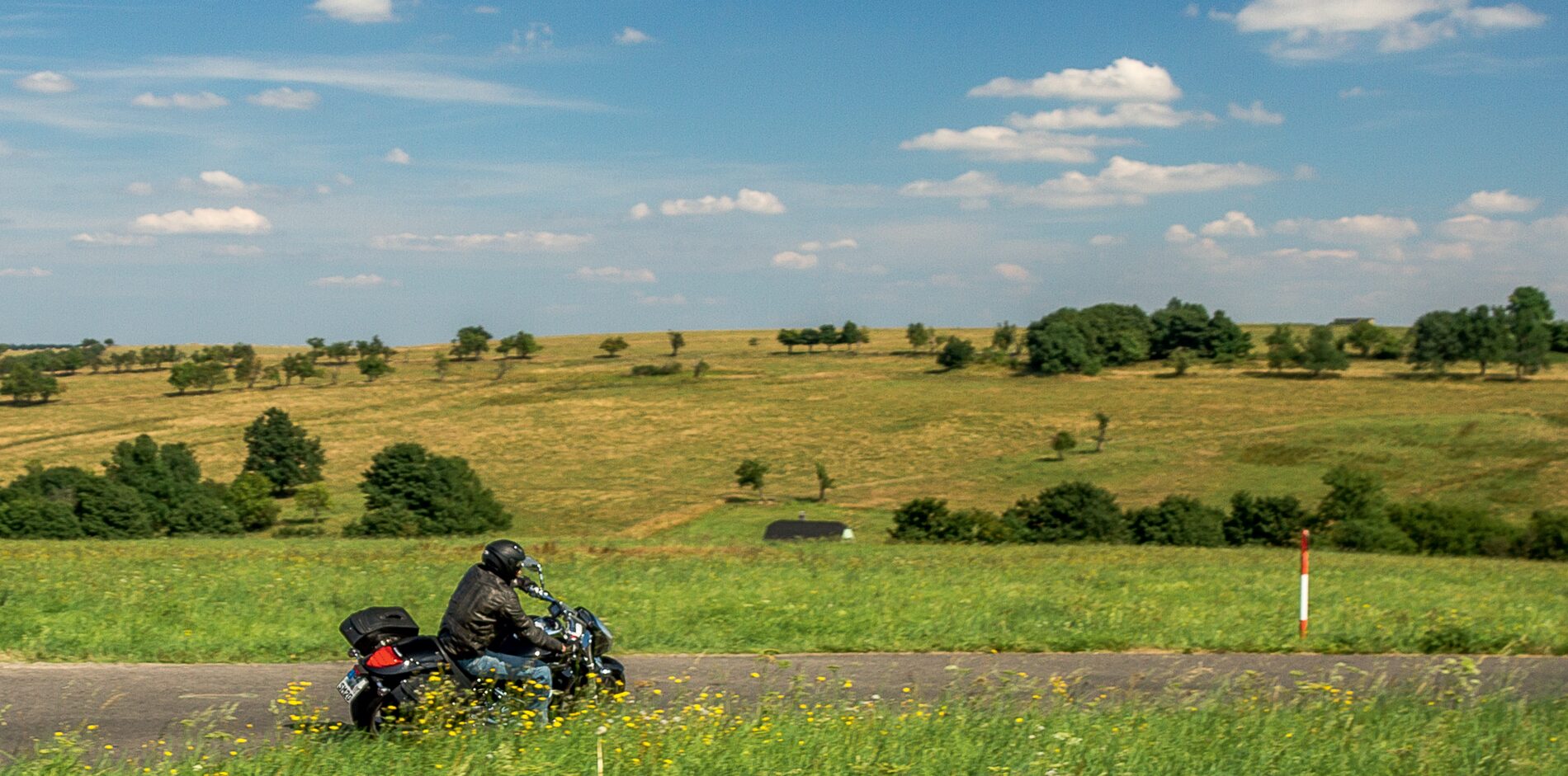 Motorradfahrer auf einer Straße durch eine weite, hügelige Wiesenlandschaft mit einzelnen Bäumen Motorradfahrer auf einer Straße durch eine weite, hügelige Wiesenlandschaft mit einzelnen Bäumen